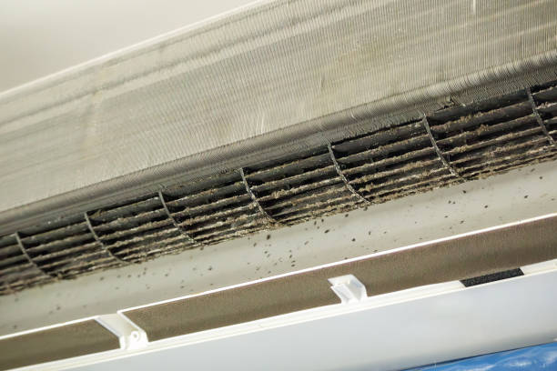 Best Commercial Air Duct Cleaning  in Rafter J Ranch, WY