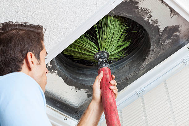 Best Home Air Vent Cleaning  in Rafter J Ranch, WY